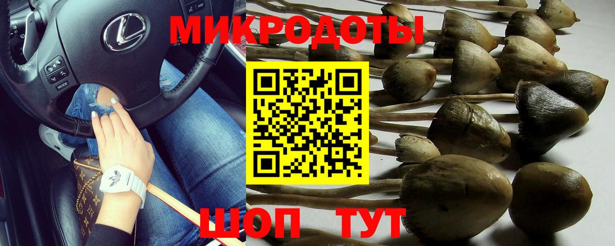 Изобильный  Псилоцибиновые грибы Cubensis  Галлюциногенные грибы мицелий  Вход с VPN 